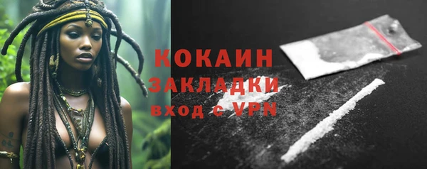 хмурый Ладушкин