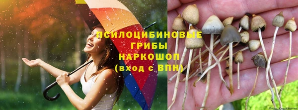метадон Лабытнанги
