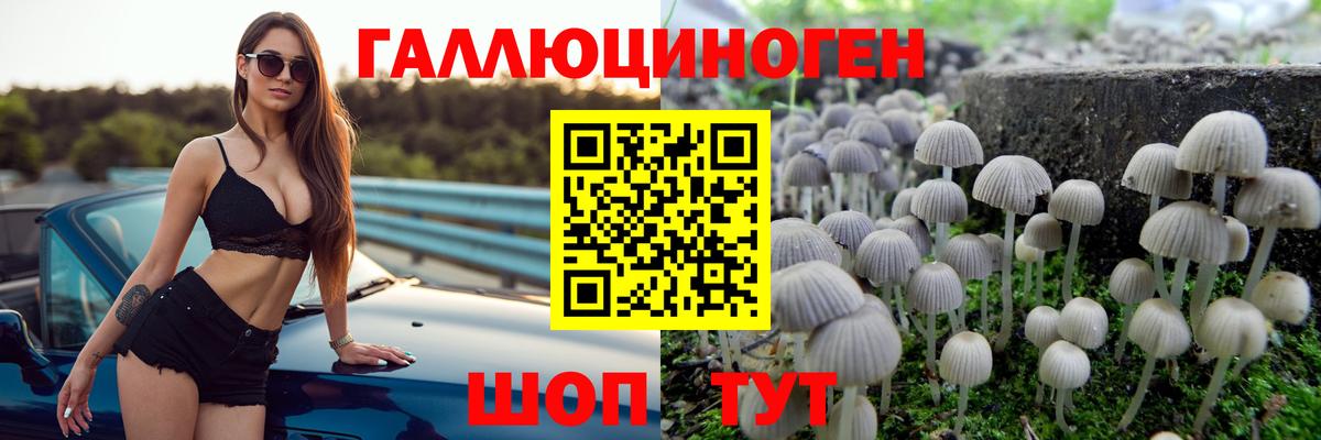 Псилоцибиновые грибы Cubensis Приморско-Ахтарск