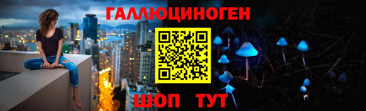 Приморско-Ахтарск  Псилоцибиновые грибы Psilocybine cubensis  Вход с VPN  Псилоцибиновые грибы Cubensis 